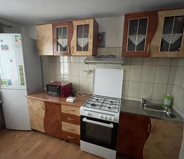 Partestii de Sus House | Casa Larisa