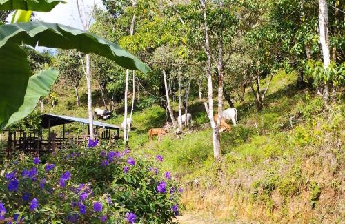 Potrero Grande House | Casa Las Gemelas