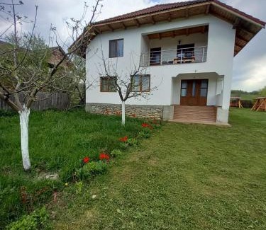 Gorj House | CASA LAVINIA CRASNA GORJ