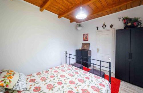 Sulina House | Casa luminoasa cu poveste