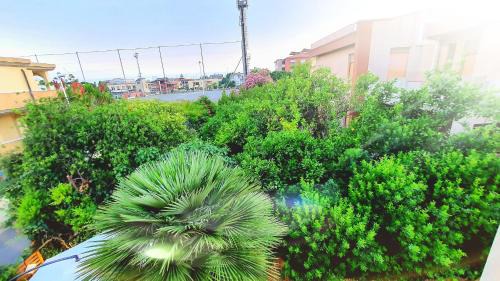 Province of Cagliari Bed & Breakfast | Casa Madda