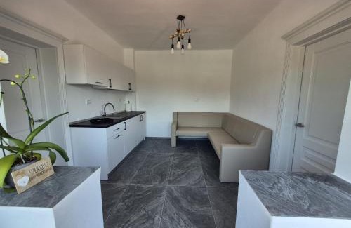 Iasi Apartment | Casa Marisor Grădină Botanica