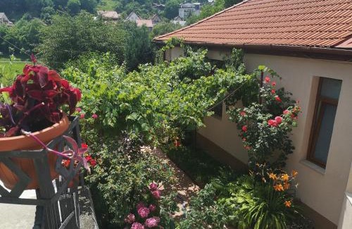 Centrul Vechi House | Casa Marius