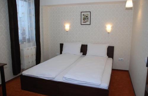 Cavnic Villa | Casa Maximia