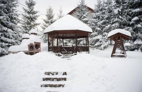 Cavnic Villa | Casa Maximia