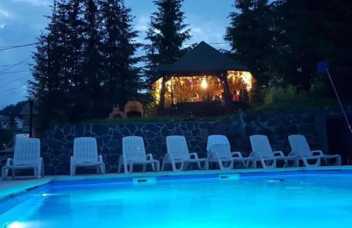 Cavnic Villa | Casa Maximia