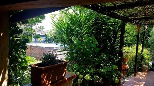 Torre del Lago Puccini House | Casa Maya con giardino privato