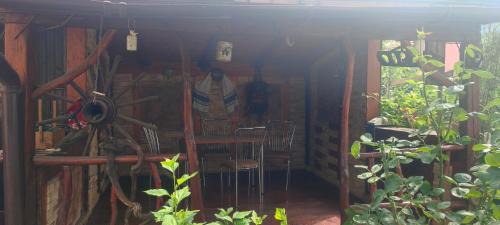 Turda House | Casa Maya
