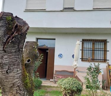 Arborbuena House | Casa MaySa