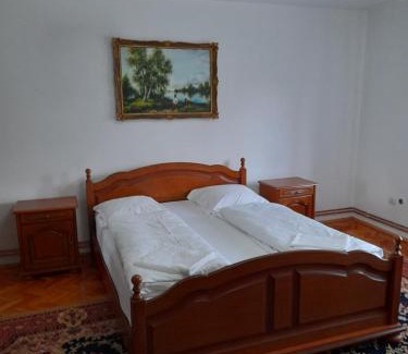 Hateg House | Casa Miki