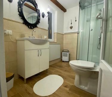 Ocna Sugatag House | Casa Moldovan (Coltisorul meu de rai)