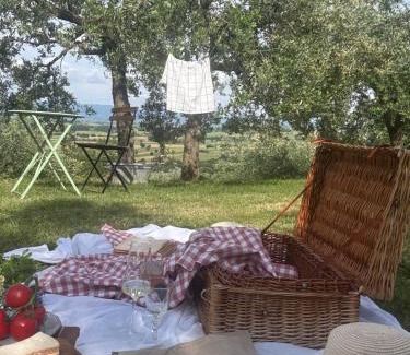 Lucignano Bed & Breakfast | Casa Montalgallo