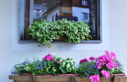 Croveo House | Casa Morena awaits you for a vacation in the center of the alps