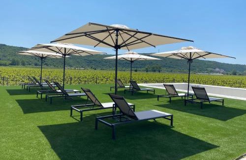 Secovlje Bed & Breakfast | Casa Mulino - where the vineyards meet the sea