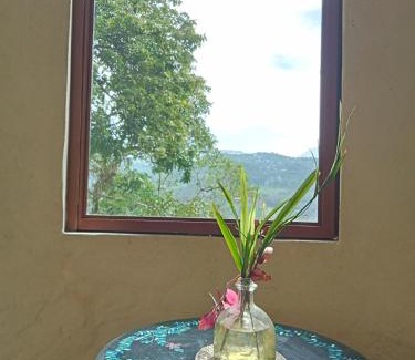 Xilitla Hotel | Casa Musgo