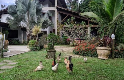 Penedo House | Casa na Floresta