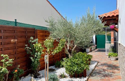Pitillas House | Casa Ozcoidi, acogedor alojamiento con jardín y piscina en el centro de Navarra