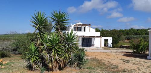 El Perello Villa | Casa Padel El Perello