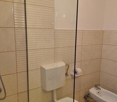 Apahida House | Casa Paduricea