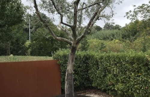 Cupramontana House | Casa Pietrone Residence, Casa Pietrone