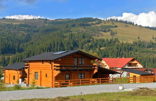 Vatra Dornei House | Casa Poligonului