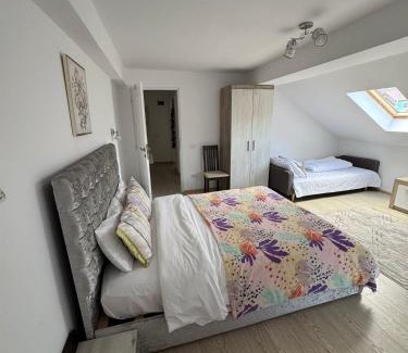 Calimanesti Hotel | Casa Popescu