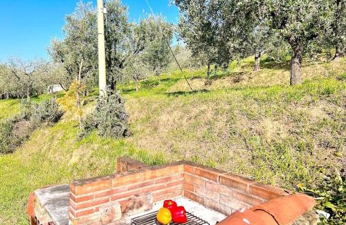 Capannori House | Casa Pozzi