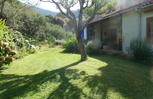 Maratea Bed & Breakfast | Casa Puccini B&B Maratea