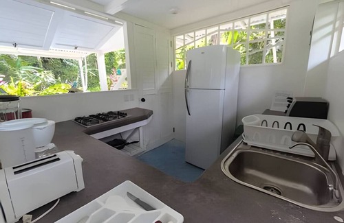 Manzanillo House | Casa Río Jungle Haven - Beach & Jungle Adventure