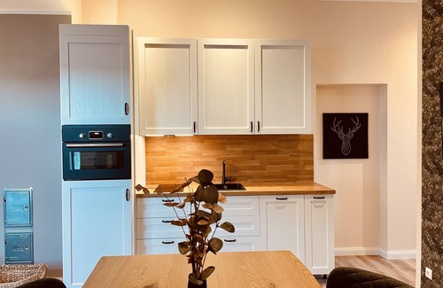 Dittelstedt Apartment | CASA REHSE I Loft-Apartment