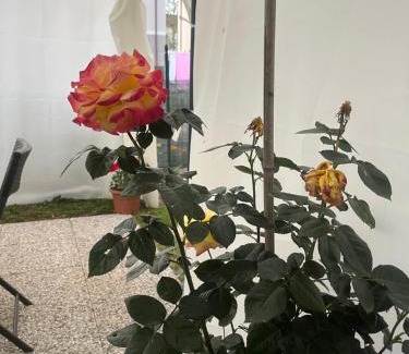 Pontremoli Apartment | Casa Rei