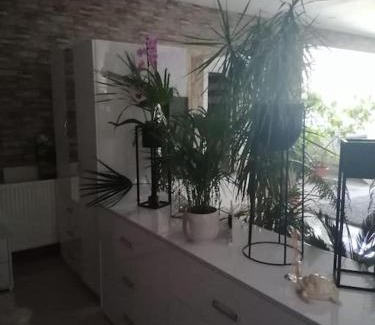 Provita de Jos House | Casa RiAn