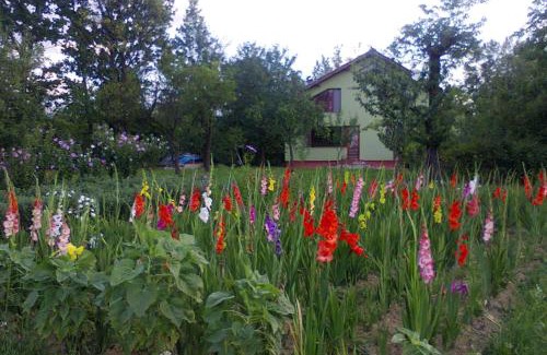 Sisesti Villa | Casa Roatis