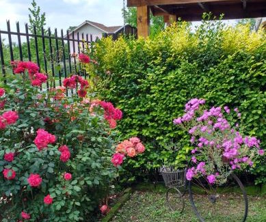 Santa Cruz Bed & Breakfast | Casa Roble Añejo Bed & Breakfast