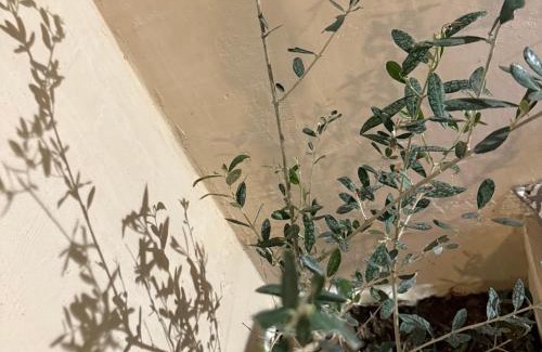 Montecarlo Apartment | Casa Ru-Hè Mèrida