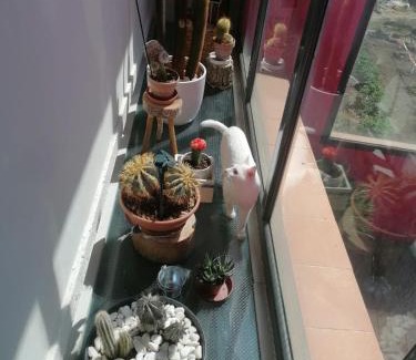 Ayerbe House | Casa Ruiz