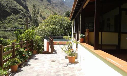 Lomito Fragoso y Honduras House | Casa Rural Rincón del Olivo