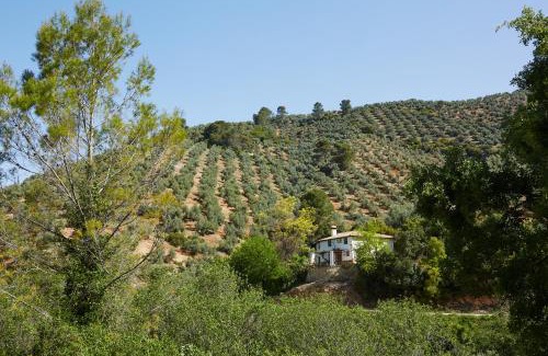 Iznatoraf House | Casa Rural Los Angostones