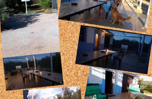 Cuevas del Campo House | Casa Rural El Olivar Victoria