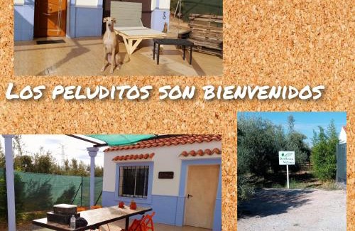 Cuevas del Campo House | Casa Rural El Olivar Victoria