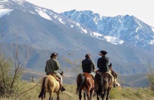Tupungato House | Casa Rural Los Coirones 6Pax By Inside