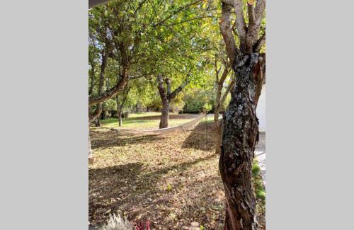 Robleda-Cervantes House | Casa rural: Villa Marías