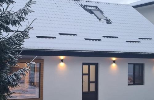 Vatra Dornei Villa | Casa Sebi