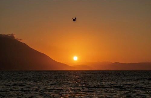 Florianopolis House | Casa super espaçosa com vista linda para o mar.