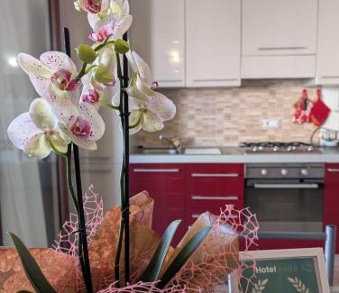 Sant'Antioco Apartment | Casa Tartaruga