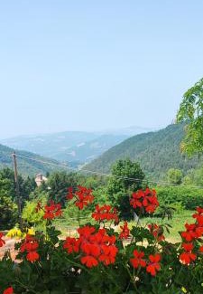 Ponte Nizza House | Casa vacanza Da Lara