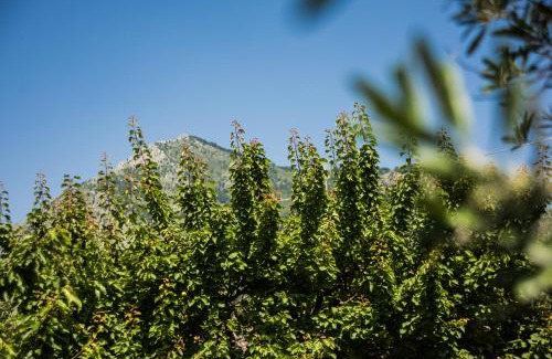 Cirignano House | Casa Vacanza Dal Cavaliere