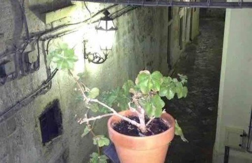 Centro Storico Apartment | Casa Vacanze LeZie