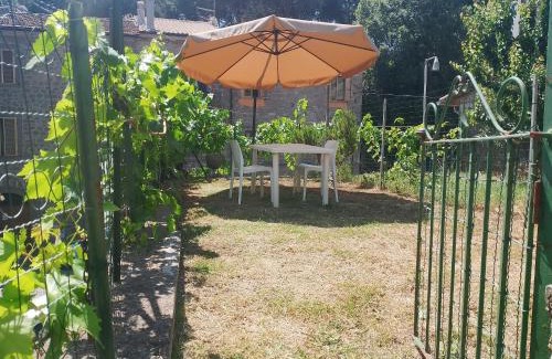 Montefiascone House | Casa Vacanze Le Cannelle