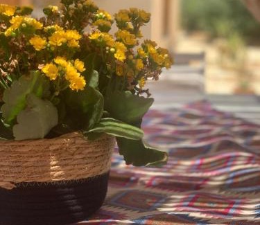 Marsala House | Casa Vacanze Lo Stagnone da Rosita